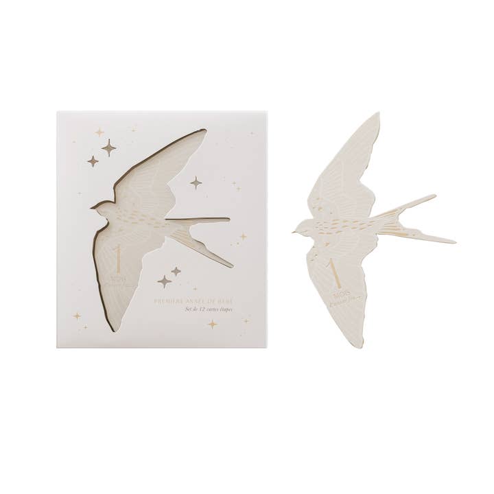 Zakuw - Wholesale Milestone Art/Keepsake - Kids & Baby - Milestone Cards Box Birds7