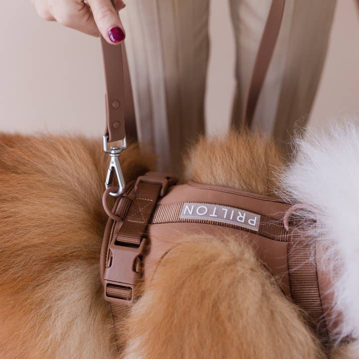 PRILTON - Wholesale Pet Harness - Dog - Harness - Brown2