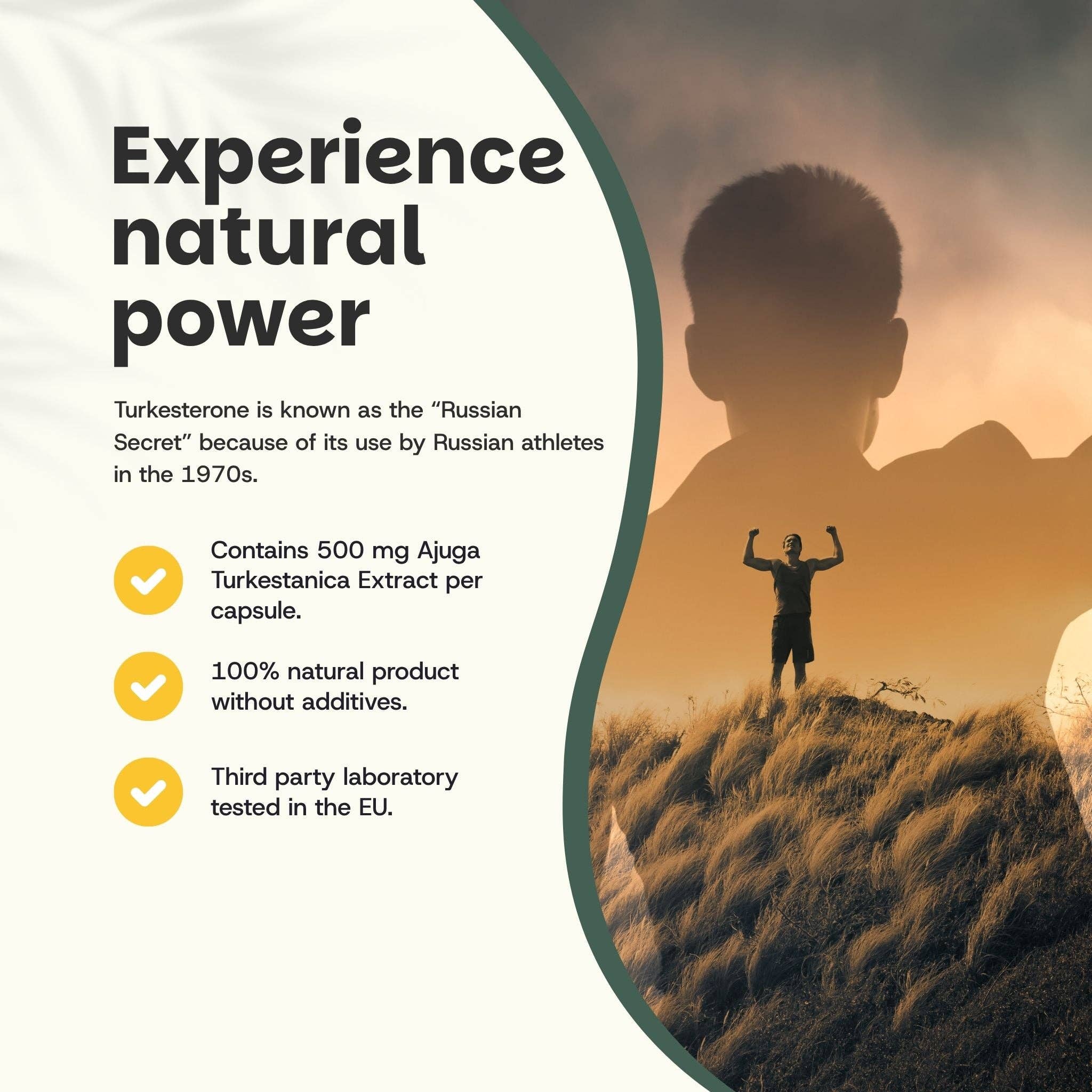 Cupplement b.v. - Wholesale Oral Supplement/Vitamin - Turkesterone Capsules 500 mg  60 Capsules1
