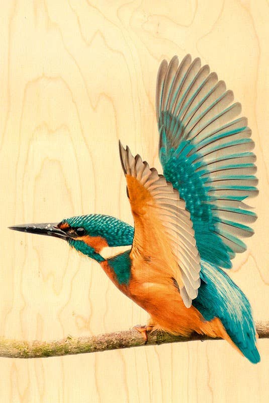 Hironwoods – Großhandel Postkarten – Martin Fisherman Envol Holzpostkarte0