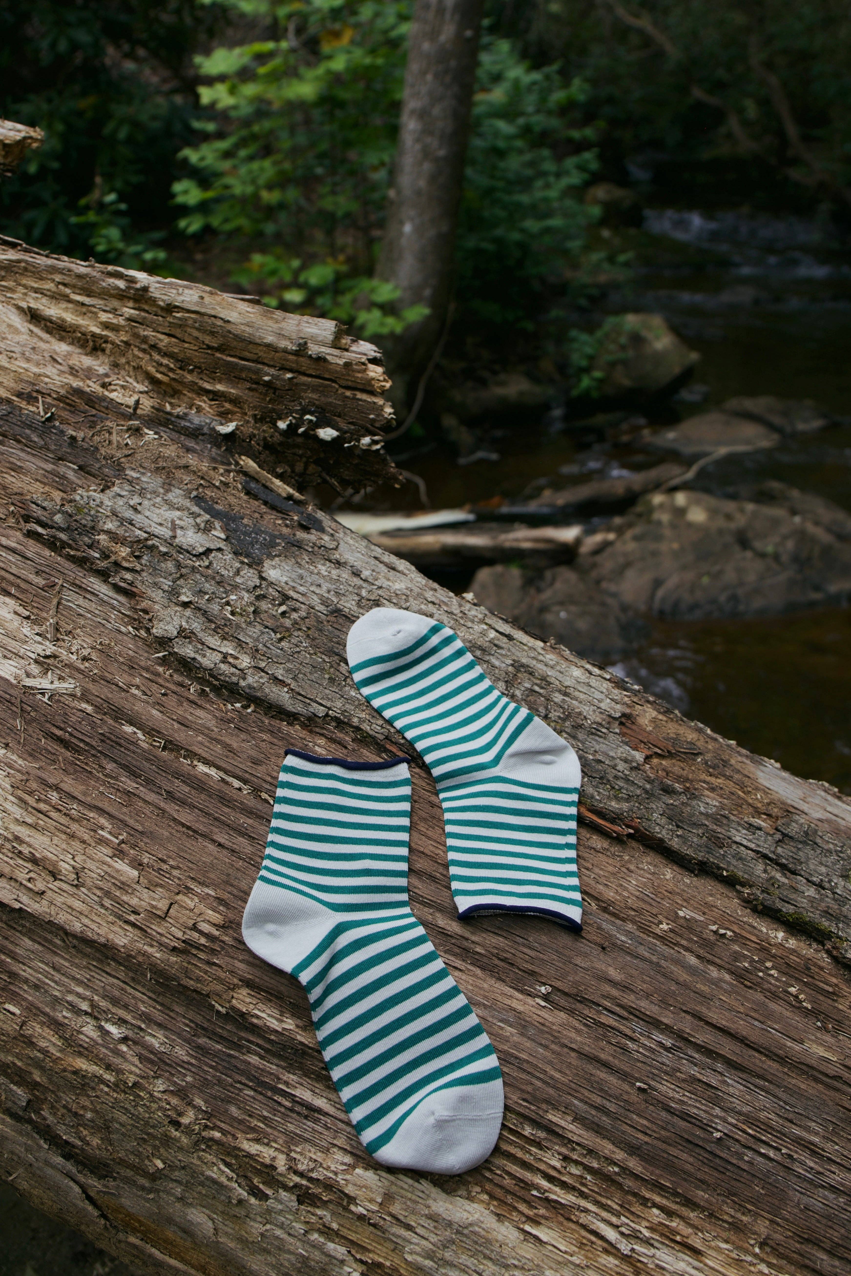 Beaten Path Co - Vendita all'ingrosso Calzini - Unisex - CALZINI A RIGHE BAR HARBOR3