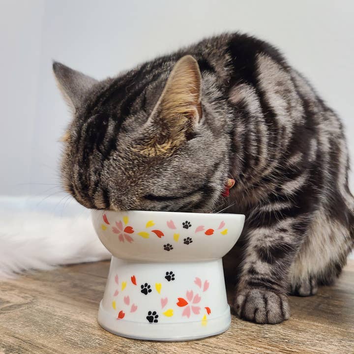 MOON-X USA, INC. - Wholesale Pet Bowl - Cat/Dog - Raised Cat Food Bowl (Sakura Limited Edition)