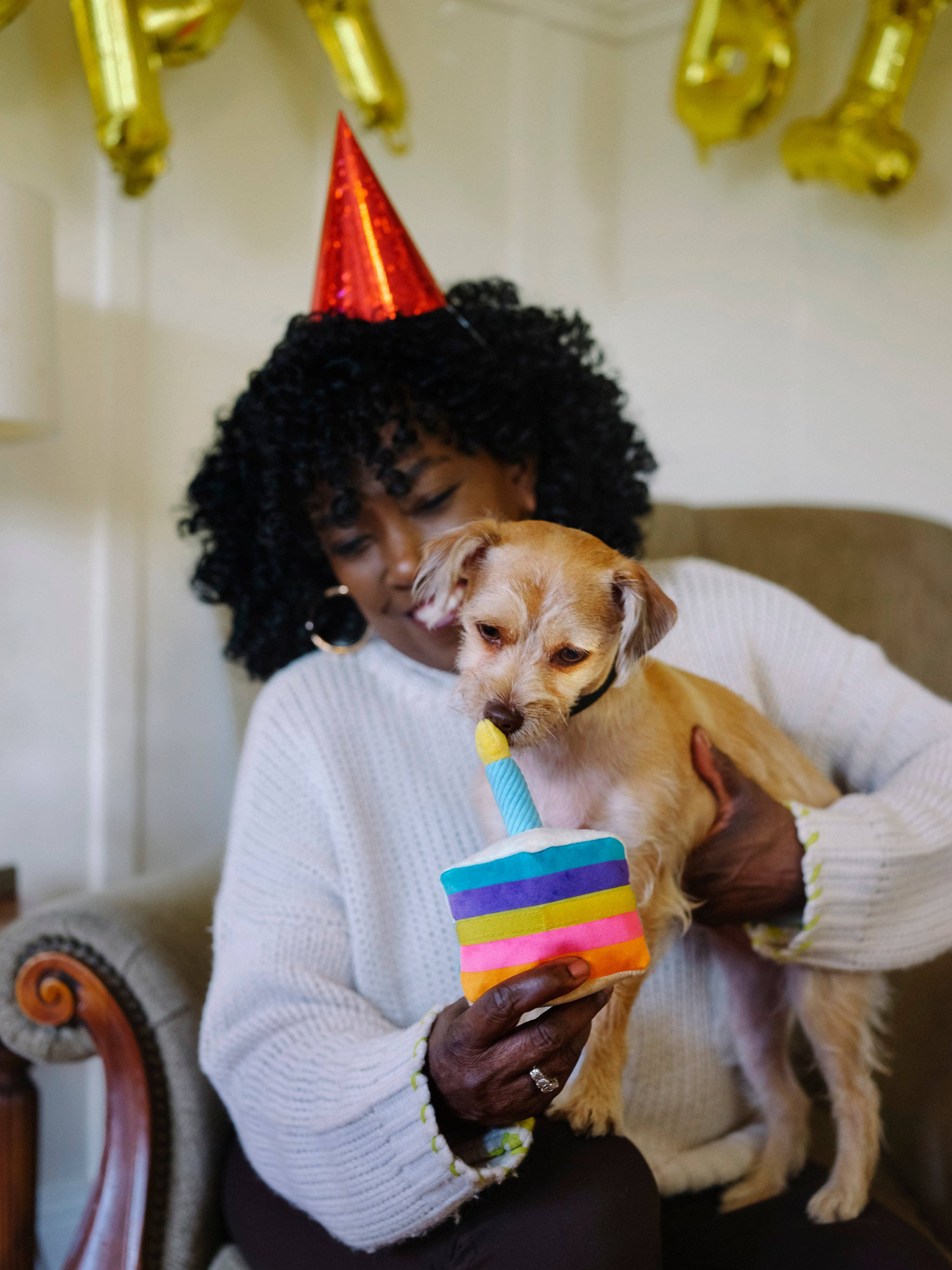 In Vogue Pets – wholesale Pet plush toy – Dog – Party Time Bone-Appetit Cake Plush Dog Toy3