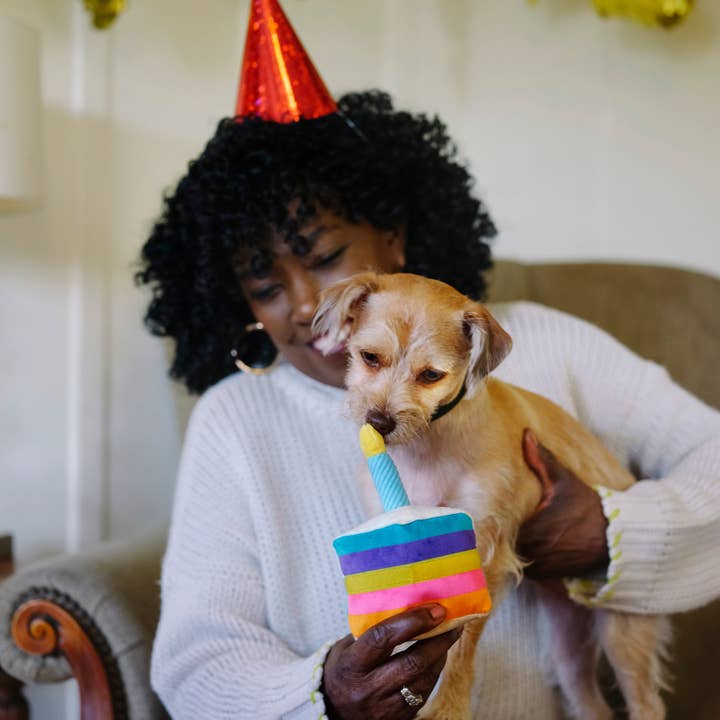 In Vogue Pets – wholesale Pet plush toy – Dog – Party Time Bone-Appetit Cake Plush Dog Toy3