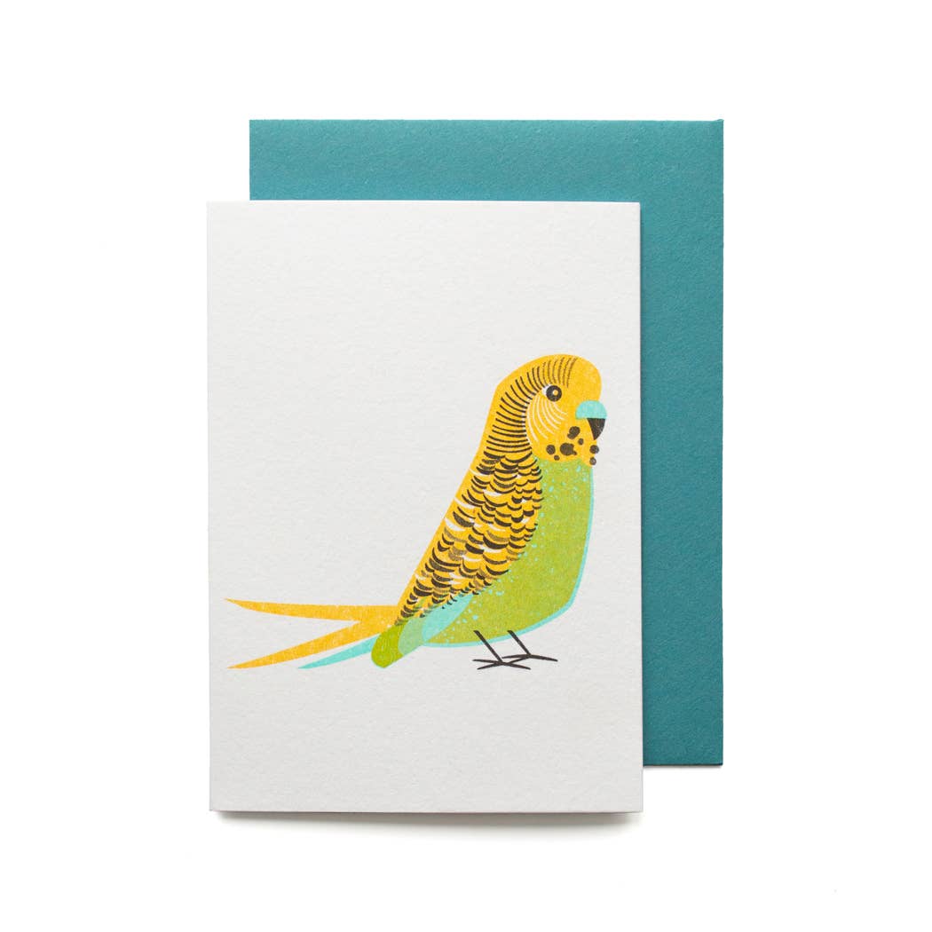 Bobbie Print - Wholesale Birthday Card - Quirky Funny Illustrated Blue Budgie Birthday Mini Card3