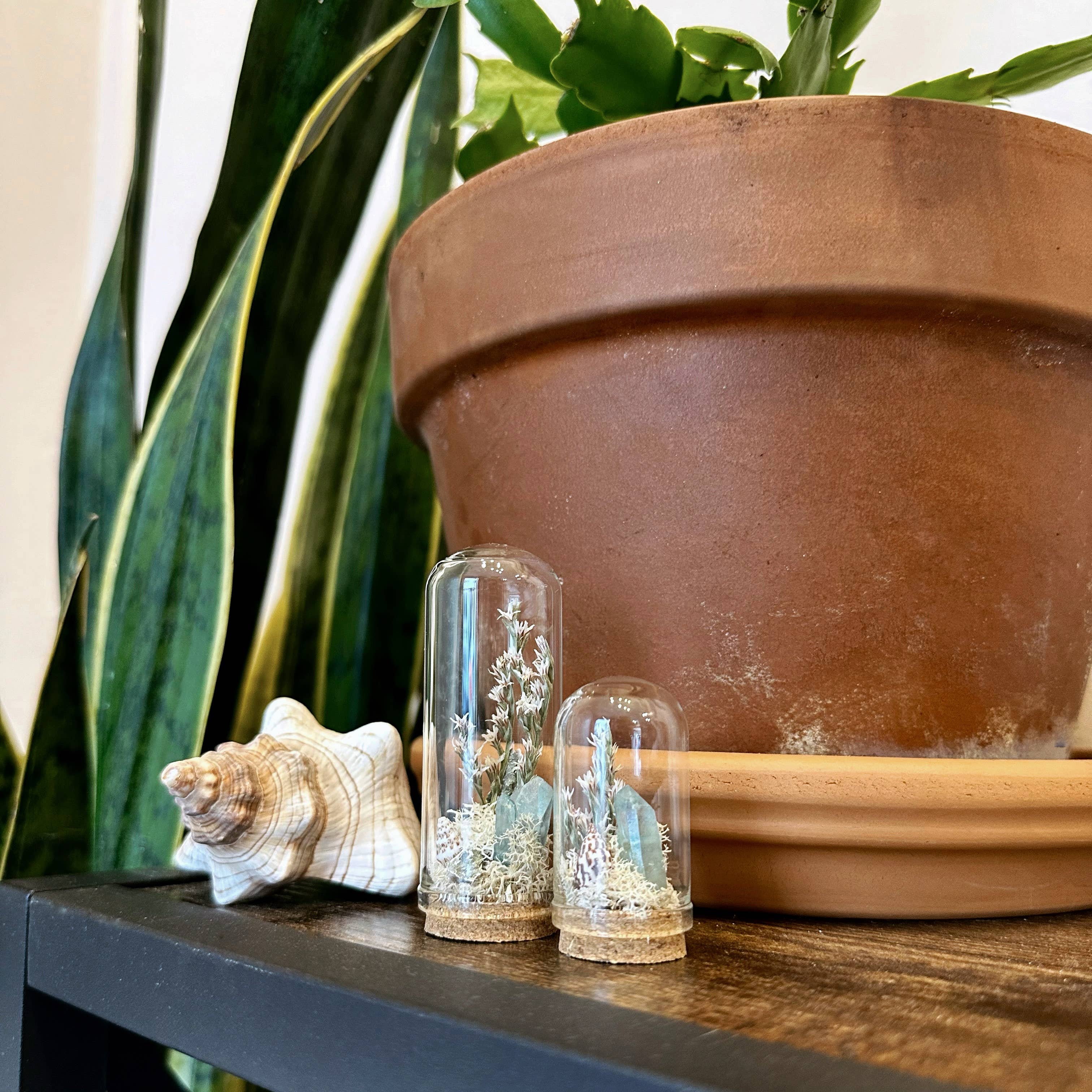 CA Studios - Wholesale Terrarium - Saltwater Breeze Mini Terrarium Crystal Beach Desk Decor1