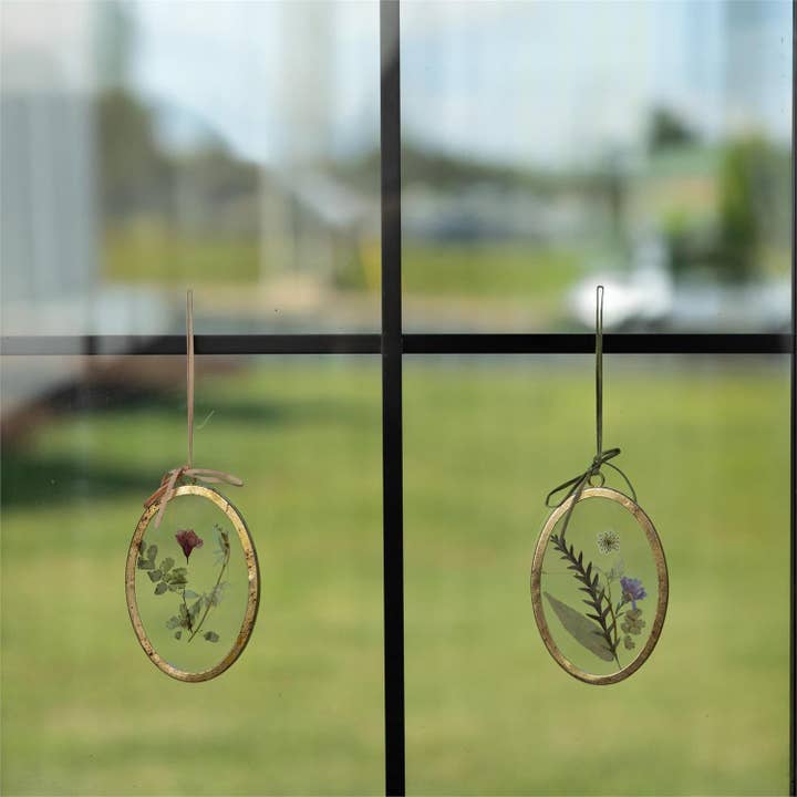 Audrey's Home & Gift - Wholesale Wall Accent - Wall Art - Pressed Floral, Gold Oval Frames (2 Designs)