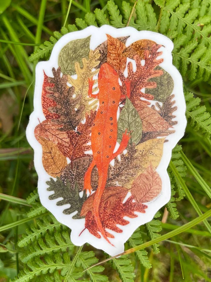 Pegatina de Tritón Oriental, Pegatina de Lagarto, Pegatina Troquelada para venta al por mayor de MossyPathArt