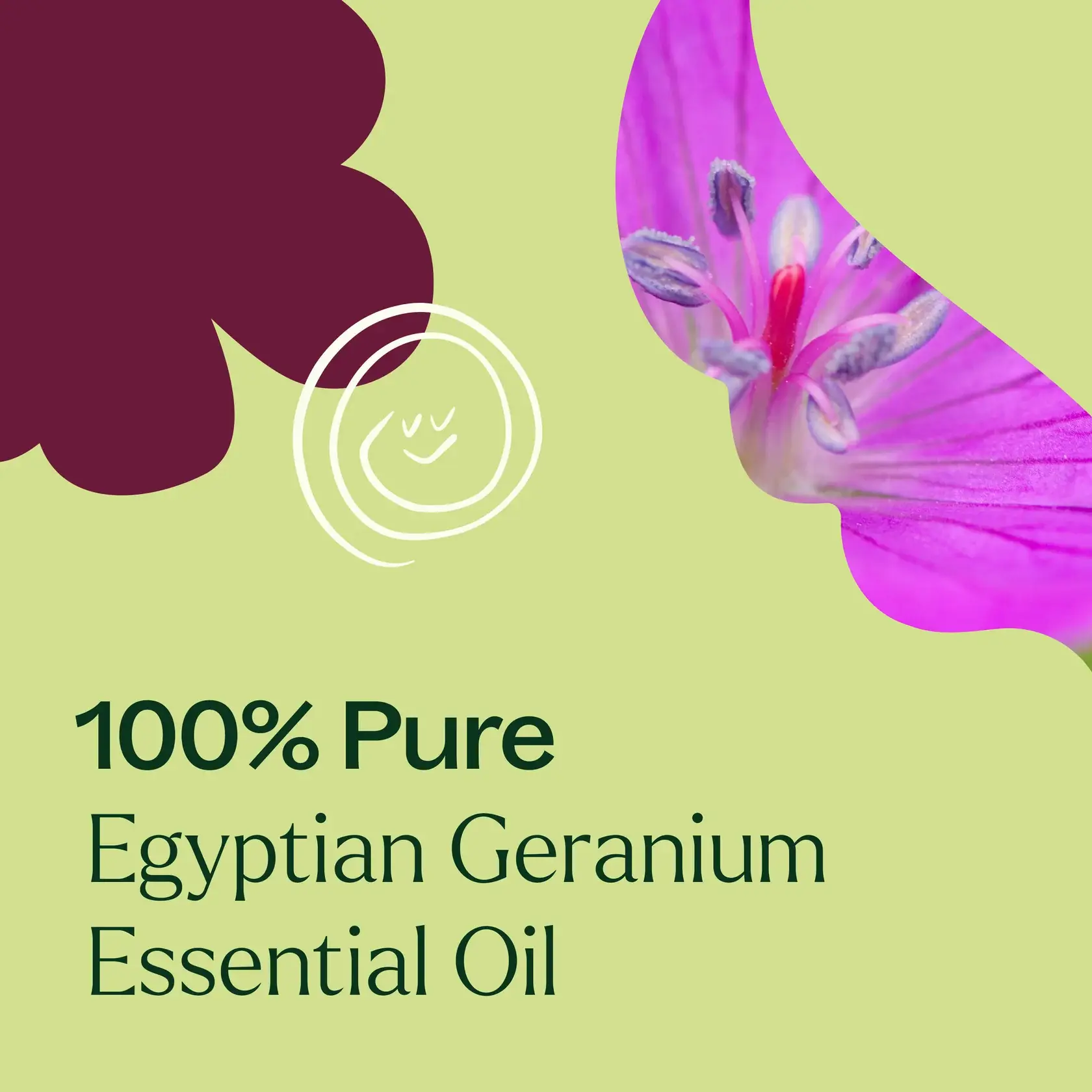 Plant Therapy - Wholesale Essential Oil - Egyptian Geranium Essential Oil 30mL6