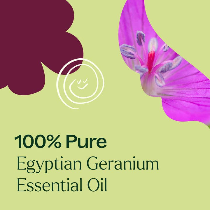 Plant Therapy - Wholesale Essential Oil - Egyptian Geranium Essential Oil 30mL6