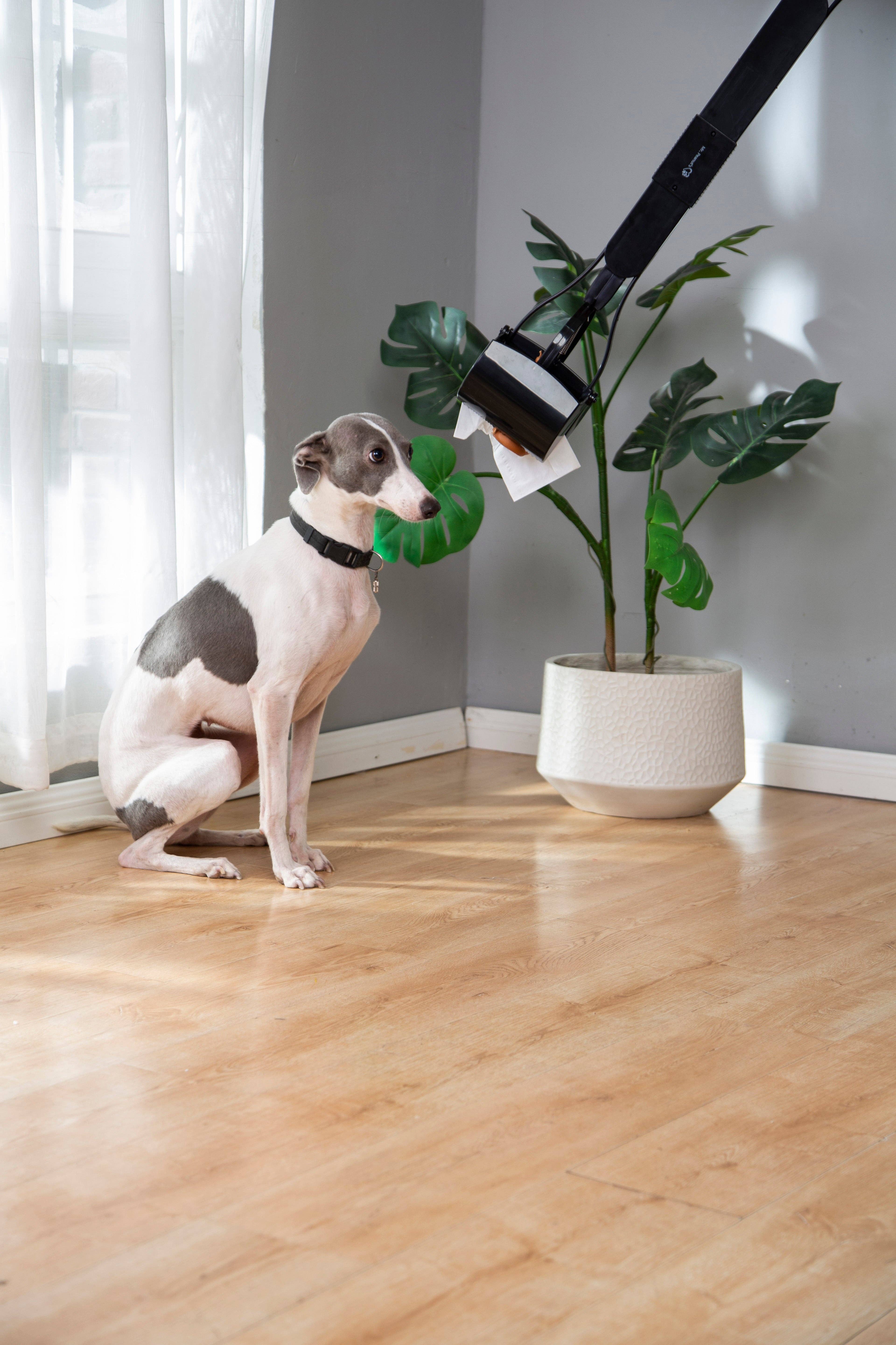 Mr. Peanut's – wholesale Pet poo bag dispenser – Mr. Peanut's 32" Tall Profile Pooper Scooper30