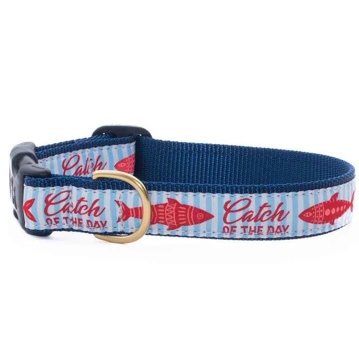 Catch of the Day Dog Collar for wholesale by Up Country, Inc.