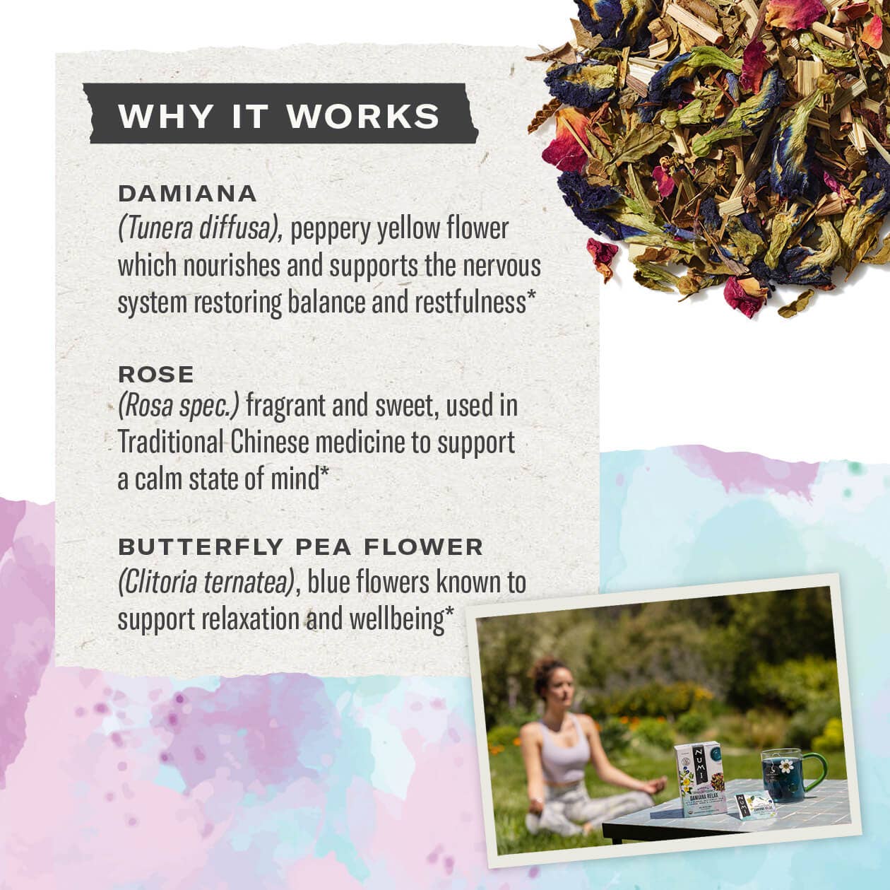 Numi Tea - Vente Thés santé/détox - Damiana Relax (6 boîtes de 18 unités)2