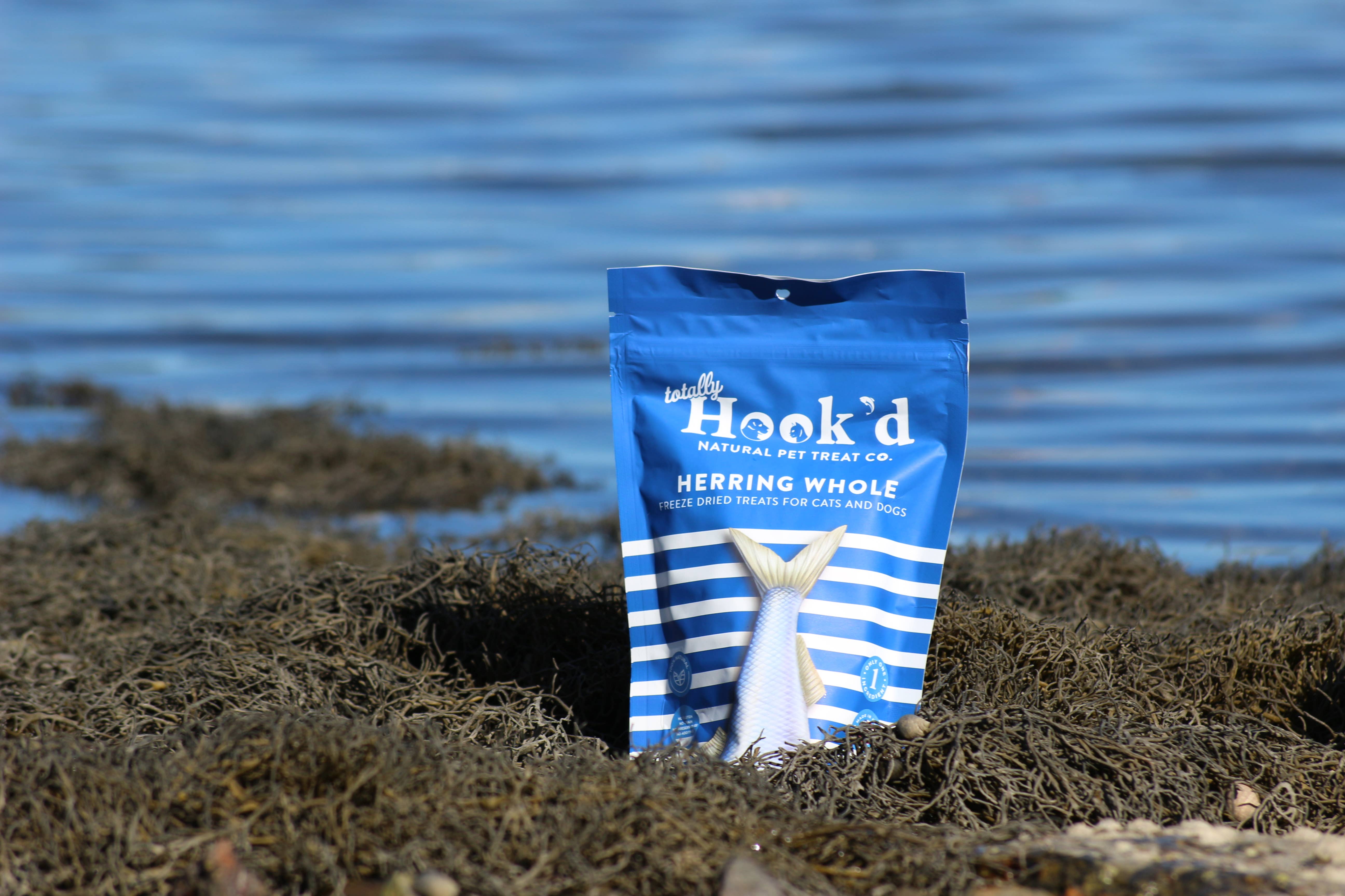 Totally Hook'd - Wholesale Pet Treats - Dog - Herring Pet Treats, 1-Ingredient & 100% Natural Freeze-Dried2