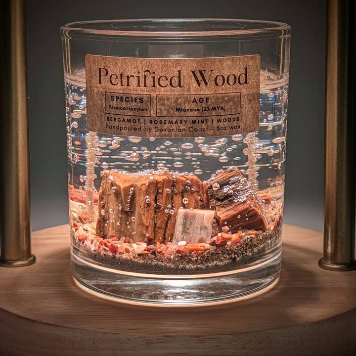 Petrified Wood Fossil Treasure Gel Candle | Petrified Forest for wholesale by Devonian Coast