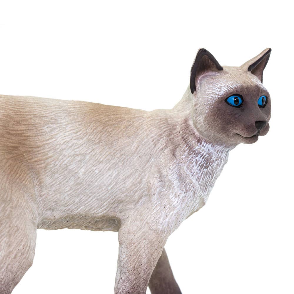 Safari Ltd. - Wholesale Figurine Toy - Kids - Siamese Cat Figurine Toy5