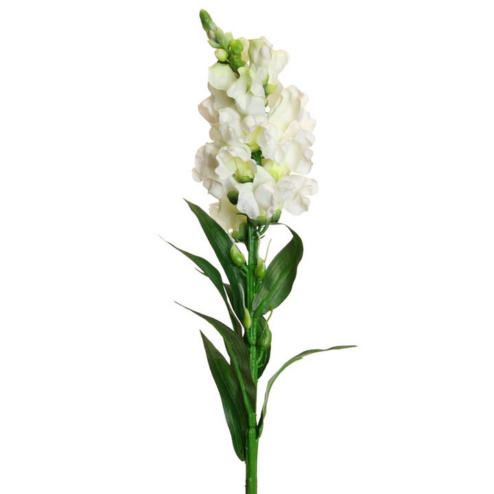 Bocca di leone 59 cm crema per la vendita all'ingrosso da parte di Floratexx