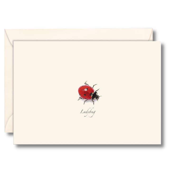 Ladybug Notecard Set for wholesale by Earth Sky + Water