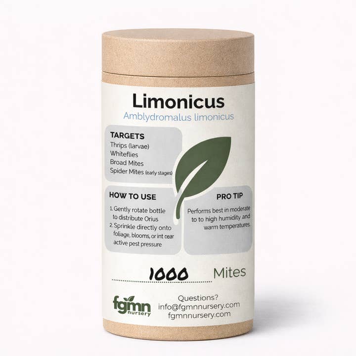 Amblydromalus limonicus for wholesale by FGMN Nursery