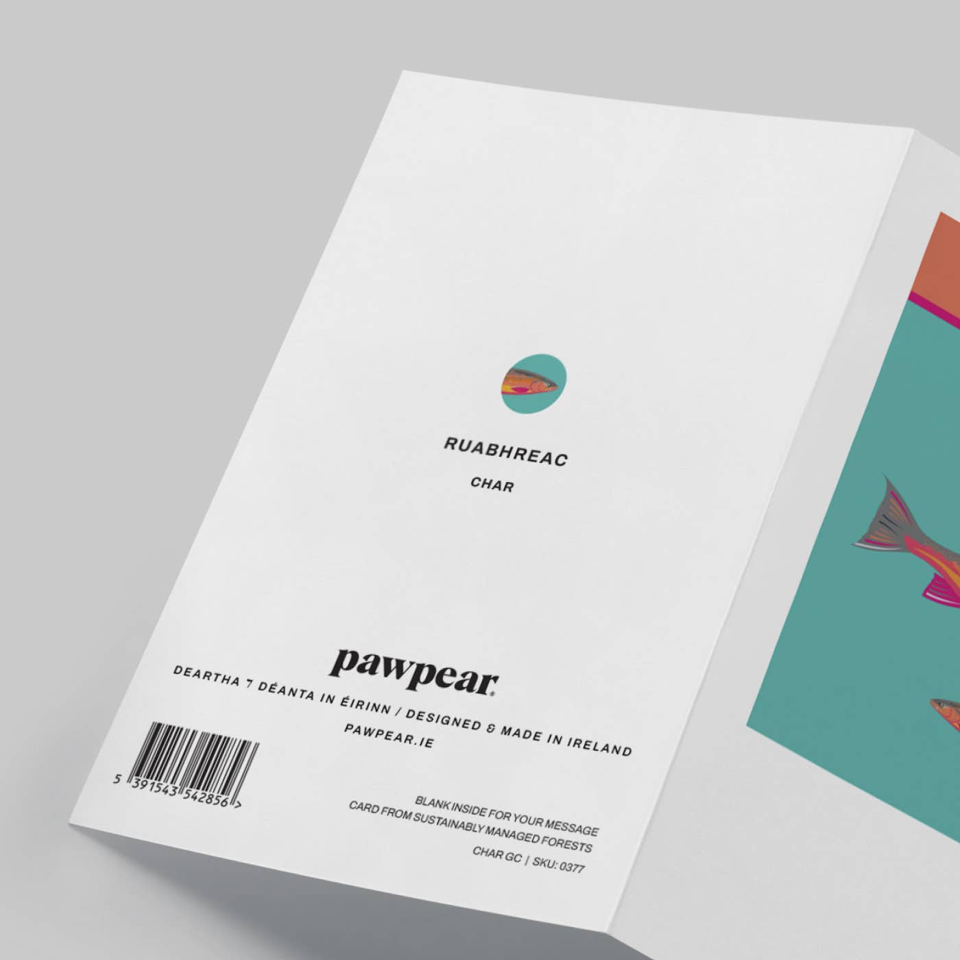 Pawpear - Wholesale Everyday Greeting Card - Char Greeting Card2