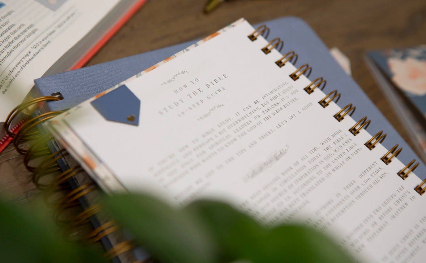 Chosen & Cherished - Wholesale Journal/Diary - Bible Journal for Verse by Verse Bible Study6