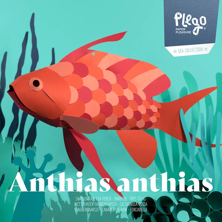 Today is Art Day - Wholesale DIY Craft Kit - Swallow Sea Perch - Fish 3D Paper Figure by Plego