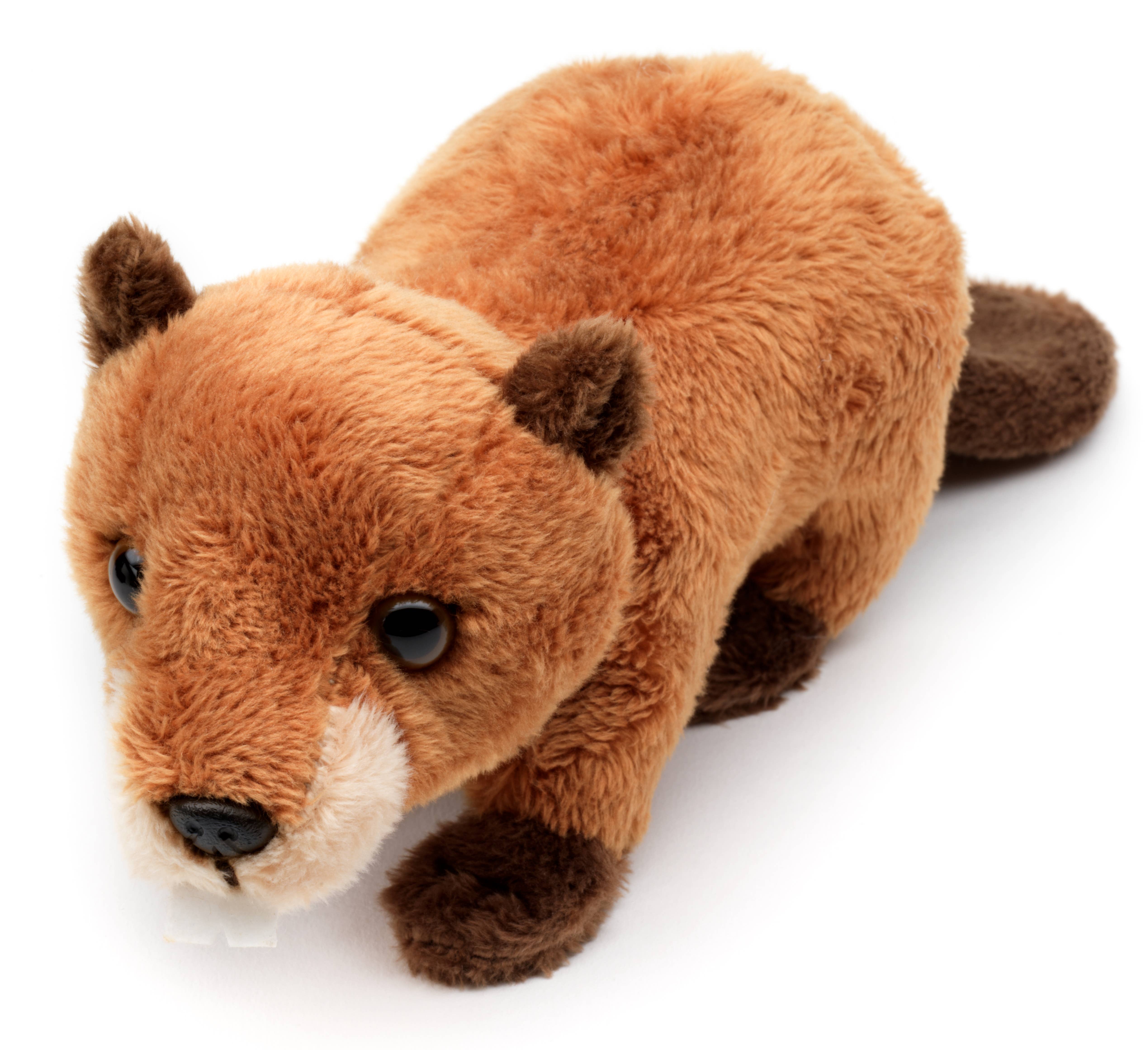 Uni Toys - Wholesale Stuffed/Plush Toy - Kids & Baby - Beaver Plushie - 20 cm (length) - cuddly/plush toy2