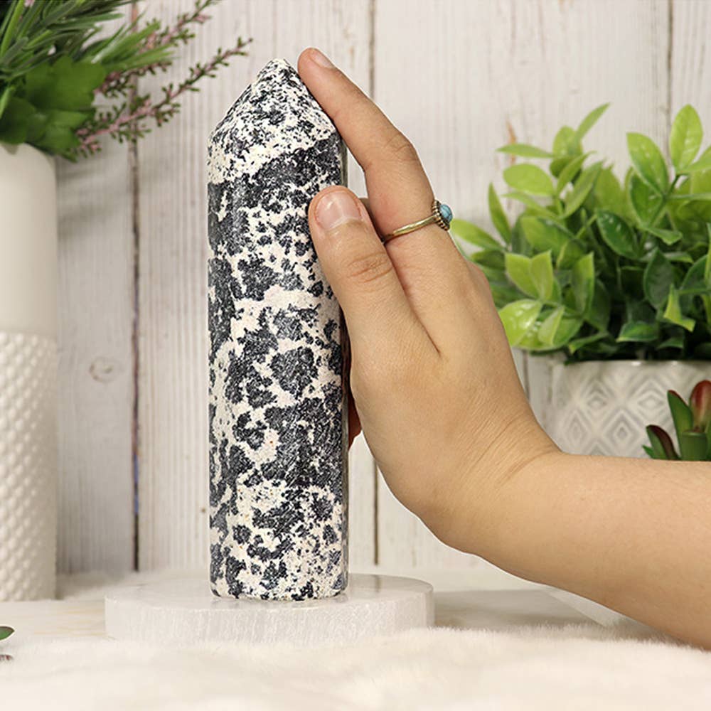 Natures Artifacts Inc - Wholesale Spiritual Stone/Crystal - Dalmatian Round Tip Tower – Dalmatian from Pakistan3