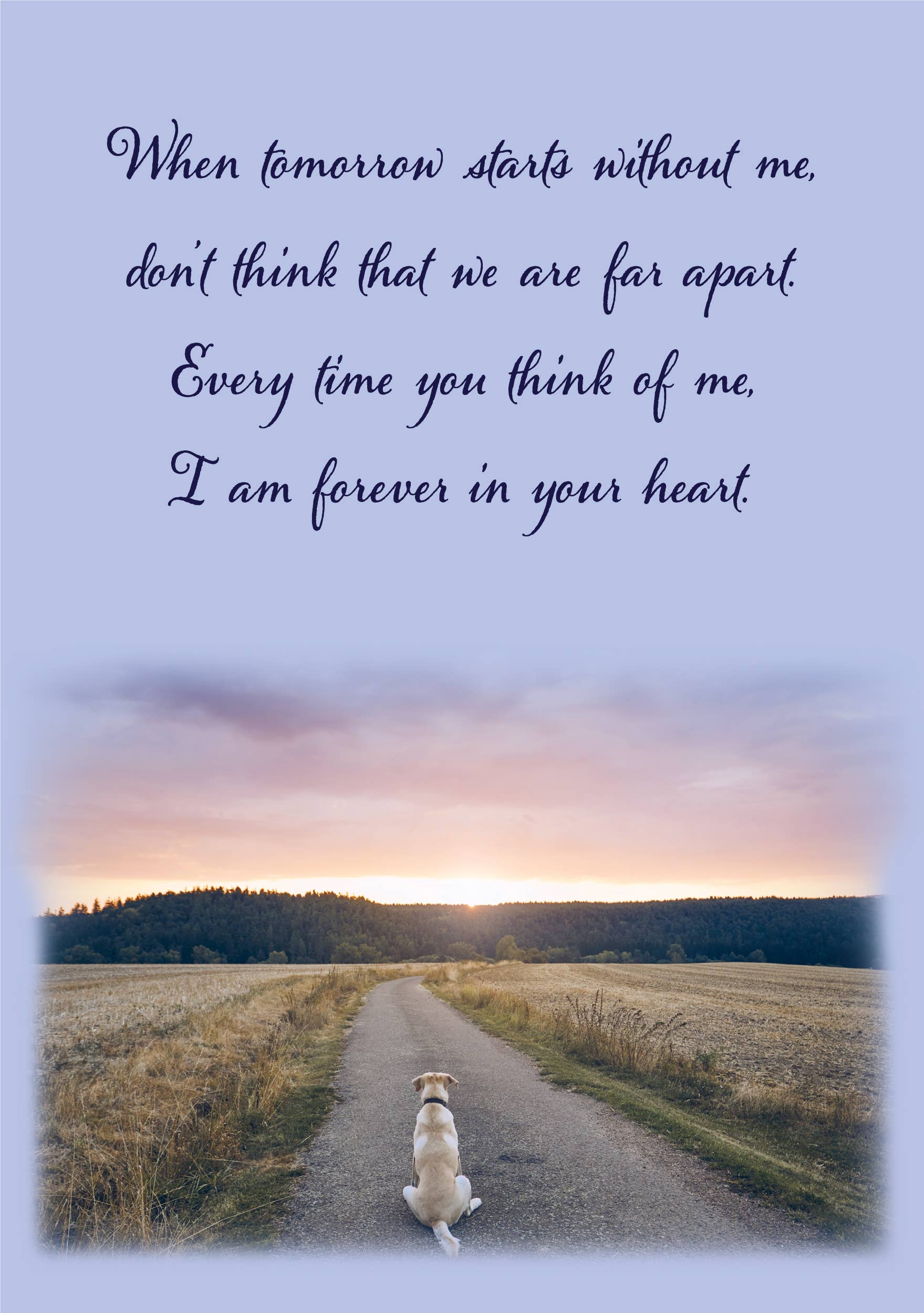 Dog Speak - Wholesale Sympathy Card - Dog Sympathy Card - When tomorrow starts without me…3
