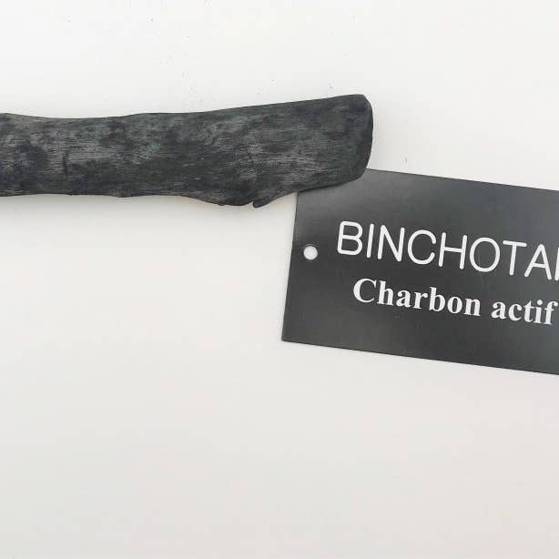 Binchotan Charcoal Stick for wholesale by Éco-conseils