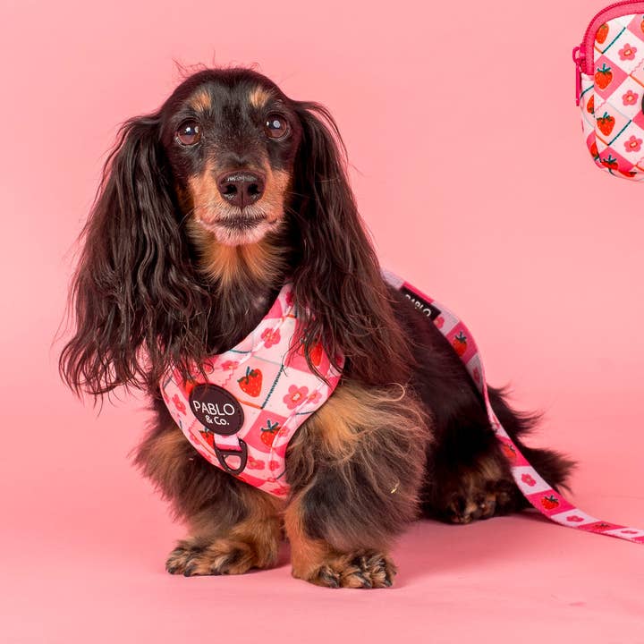 Jordbærbed: Godtepose for engroshandel hos Pablo & Co. Boutique