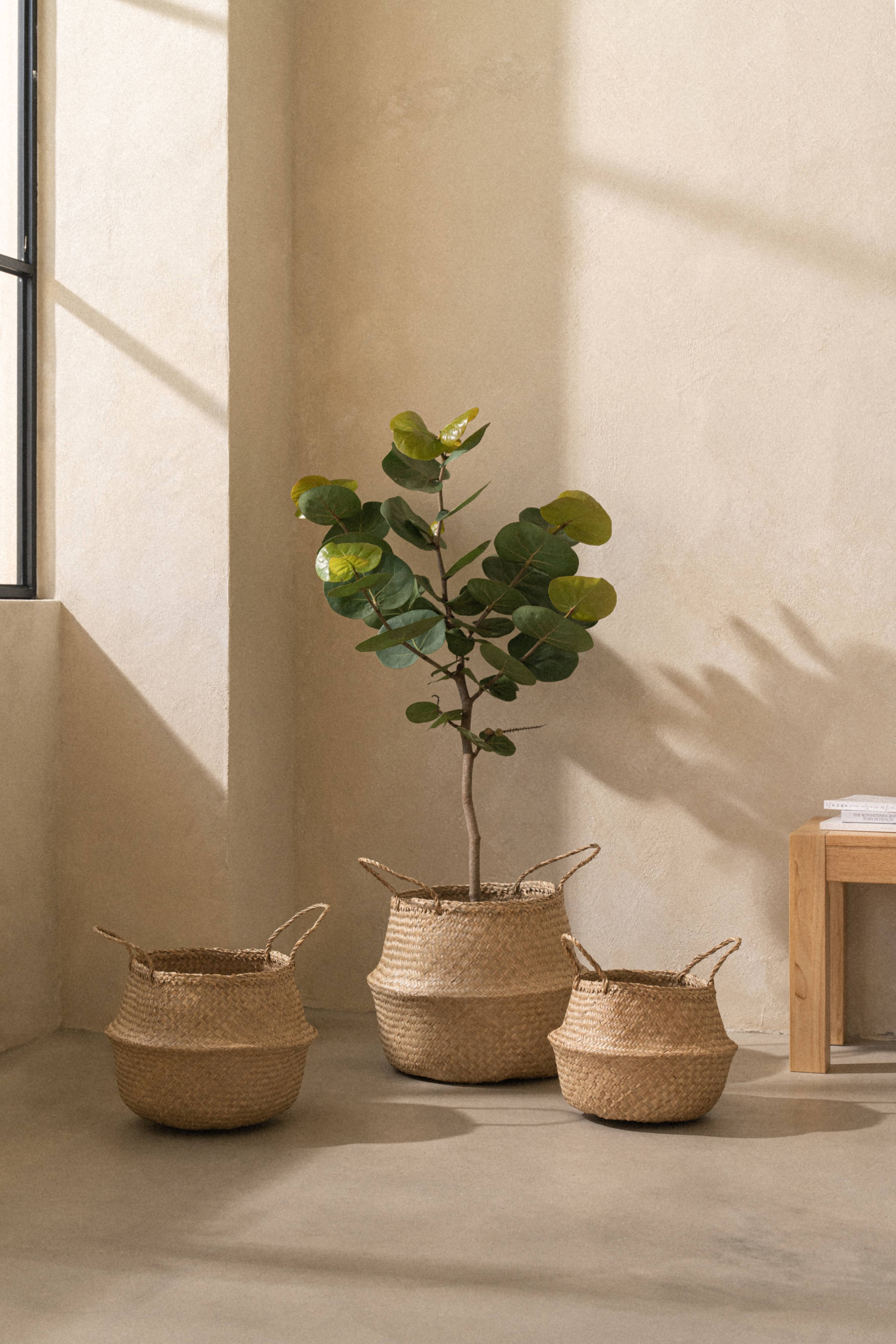 SUNNY HOME - Vente Paniers - Grandes corbeilles Kiau Seagrass3