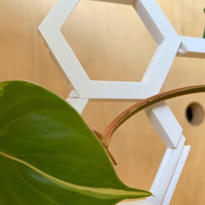 Steel Silk LLC - Wholesale Trellis - 3D Printed Modular Hexagon Indoor Plant Trellis - White