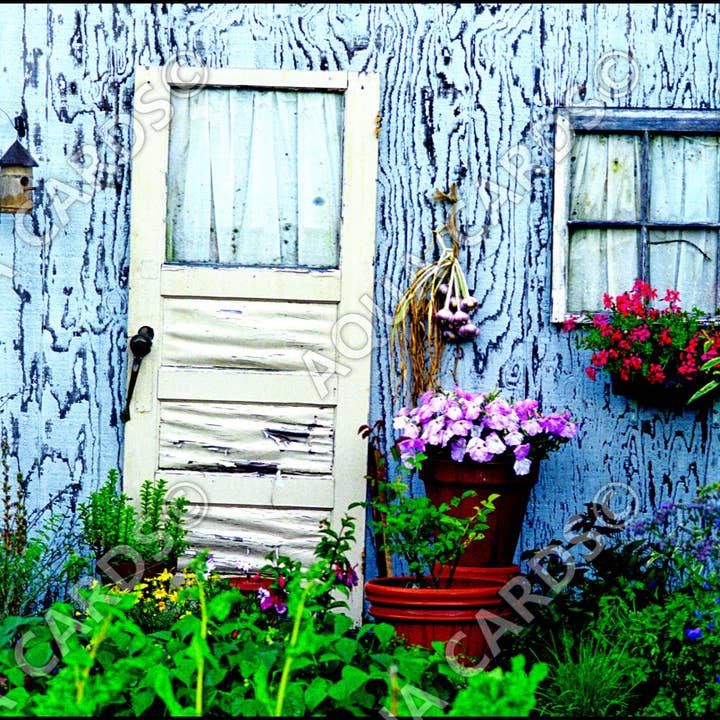 1006 - The Useless Door for wholesale by Aqua Cards