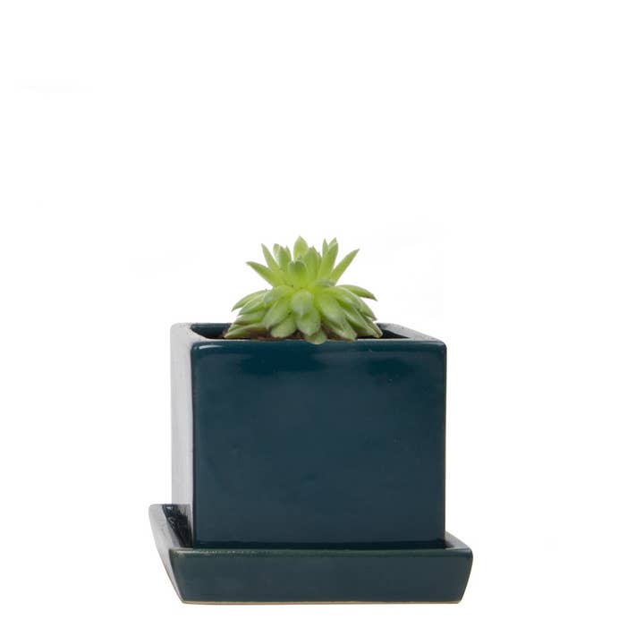 Chive - Wholesale Plant Pot - Cube & Saucer Indoor Plant Pot With Drainage
