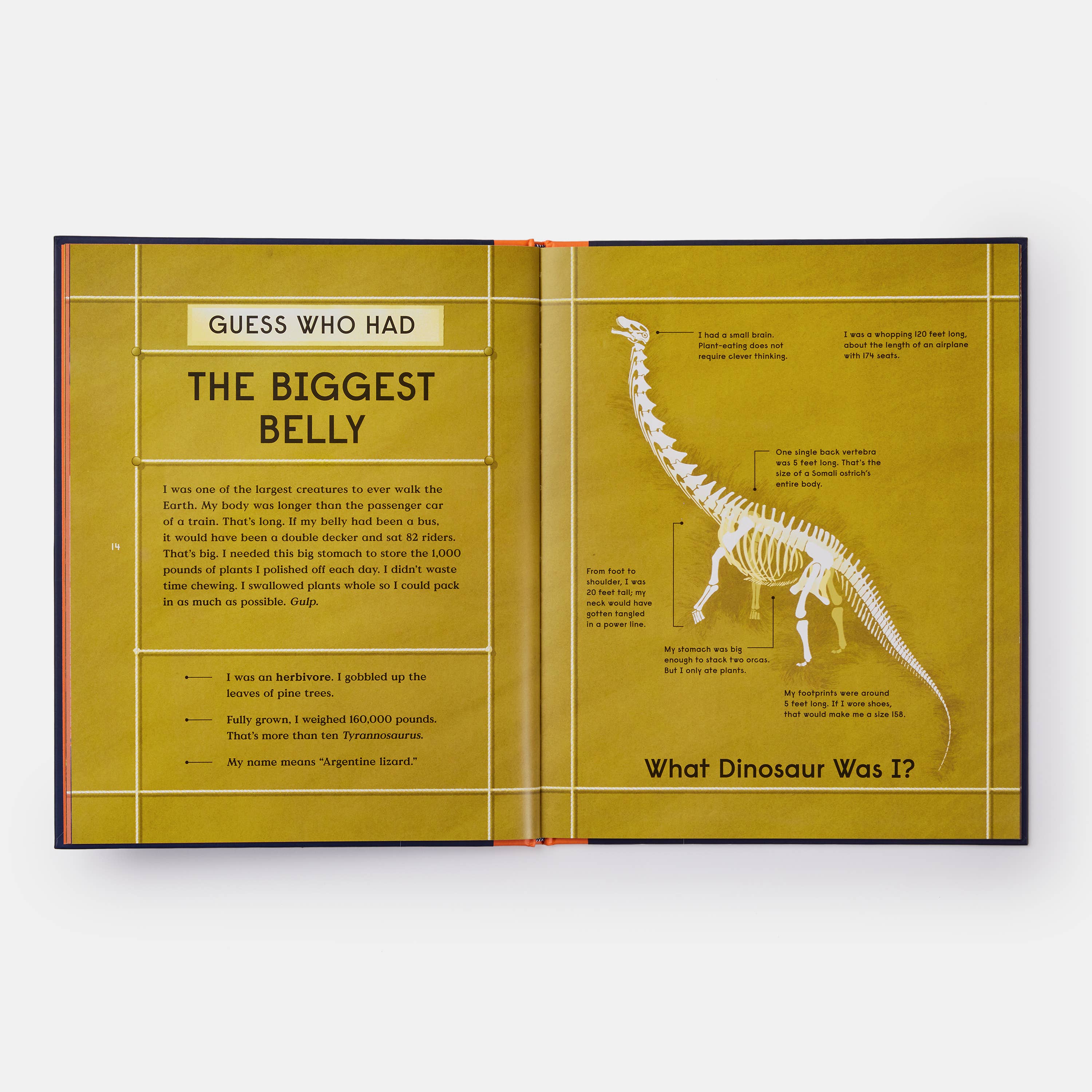 Phaidon - Wholesale Middle Grade Book (9-12) - Book of Dinosaurs: 10 Record-Breaking Prehistoric Animals7