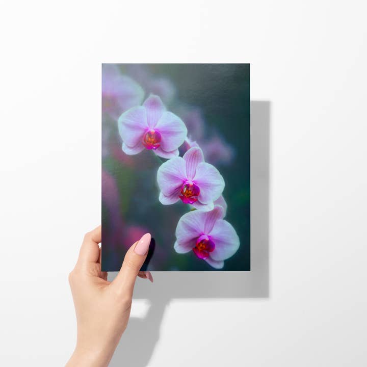 Sheryl’s Virtual Garden - Wholesale Everyday Greeting Card - Moody Trio Single 5x7 Pink & Lavender Orchid Greeting Card1