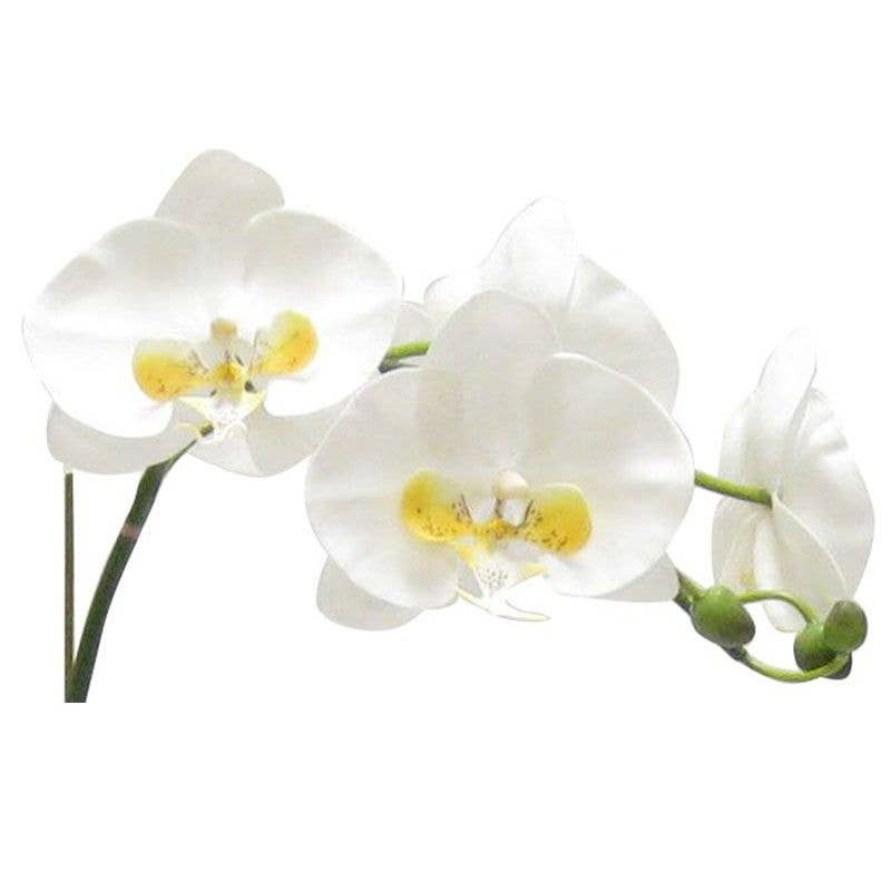 Bougainvillea – wholesale Artificial flowers – [MSP-G-ORYE] Resin Mini Square Container Gold Leaf - Artificial Orchid White & Yellow2