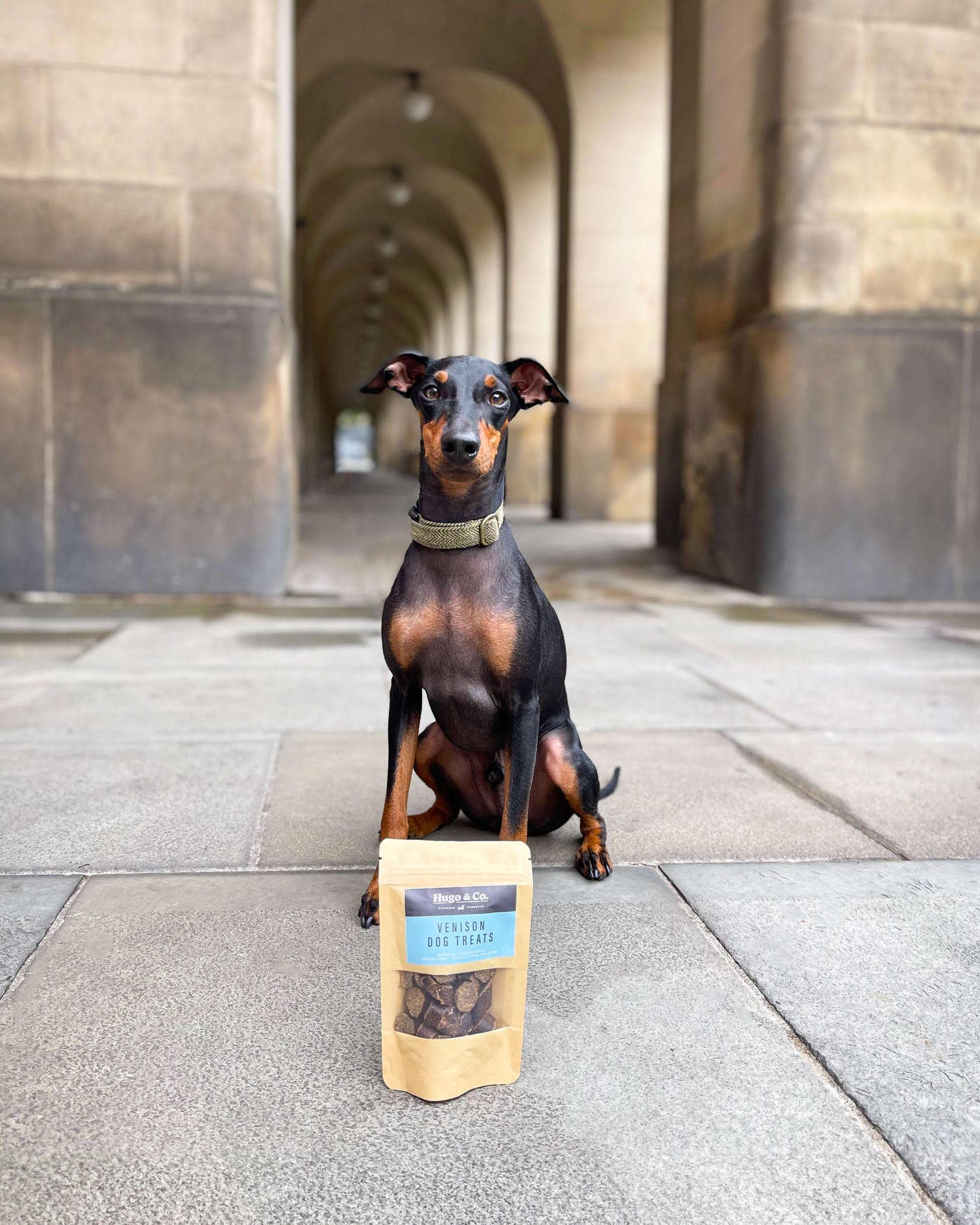 Hugo & Co Dog Treats – wholesale Pet treats – Dog – Venison Dog Treats - 75g1