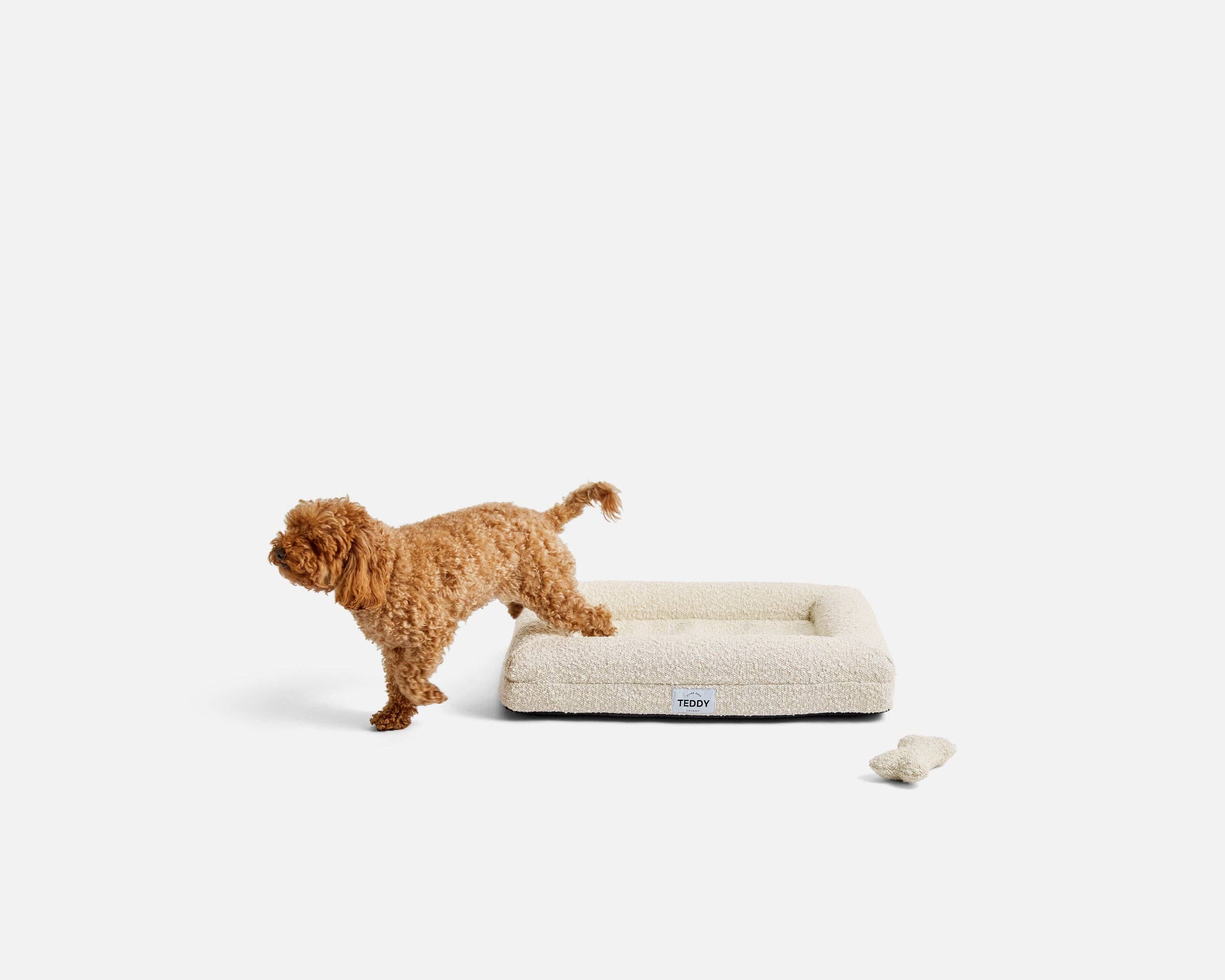 TEDDY LONDON - Wholesale Pet Bed - Dog - MINI XS BOUCLE BED WHITE3