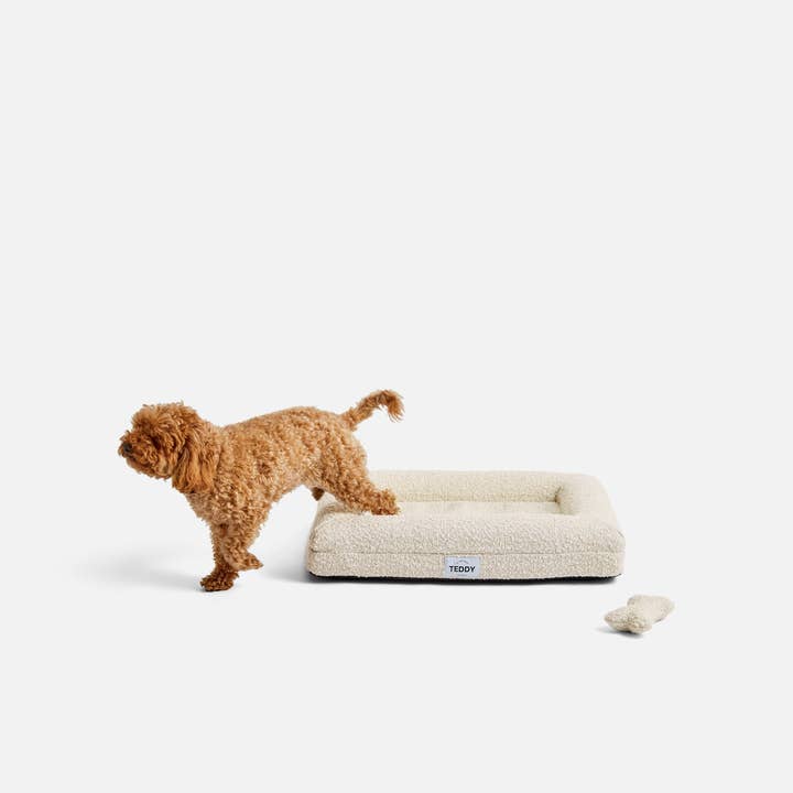 TEDDY LONDON - Wholesale Pet Bed - Dog - MINI XS BOUCLE BED WHITE3