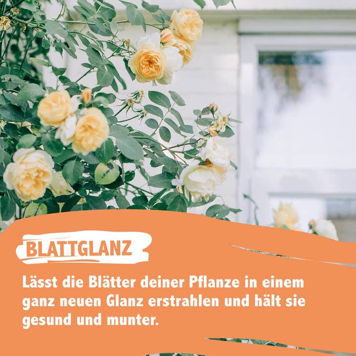 Close Up GmbH - Wholesale Insect Repellent - Vitadrops Neem Oil Plant Protection Spray Neem Oil5