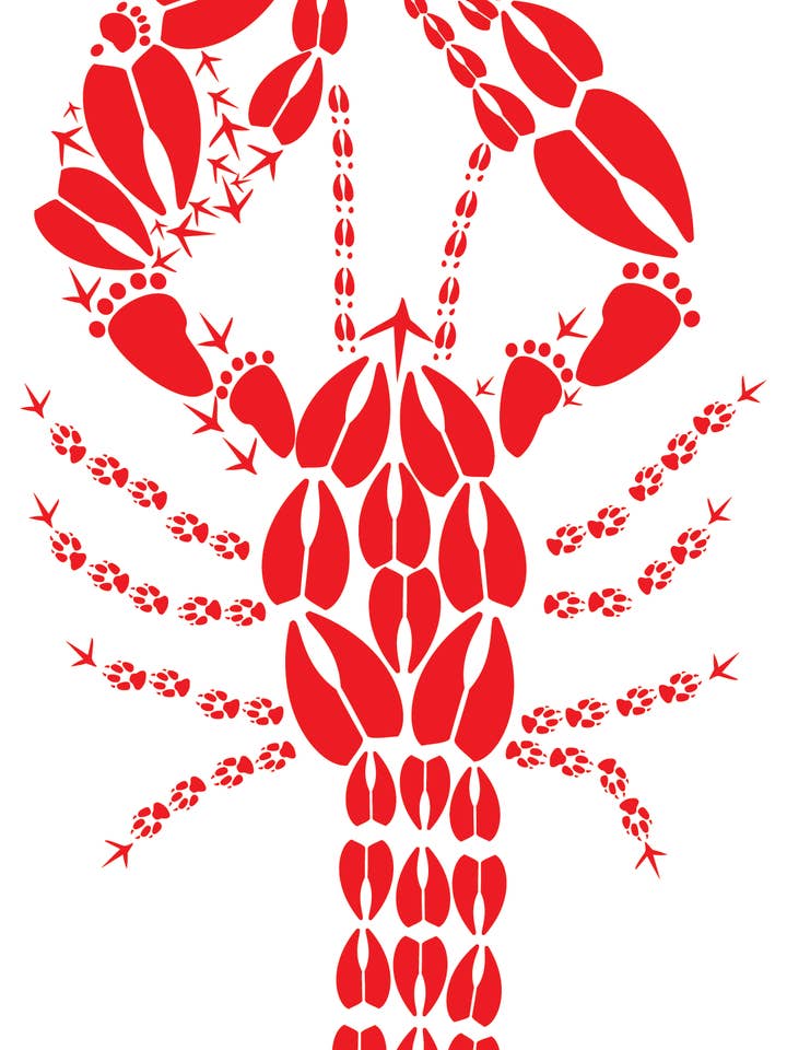 Red Lobster 6 Pack of Notes for wholesale by Bold Spark Design & Stationery