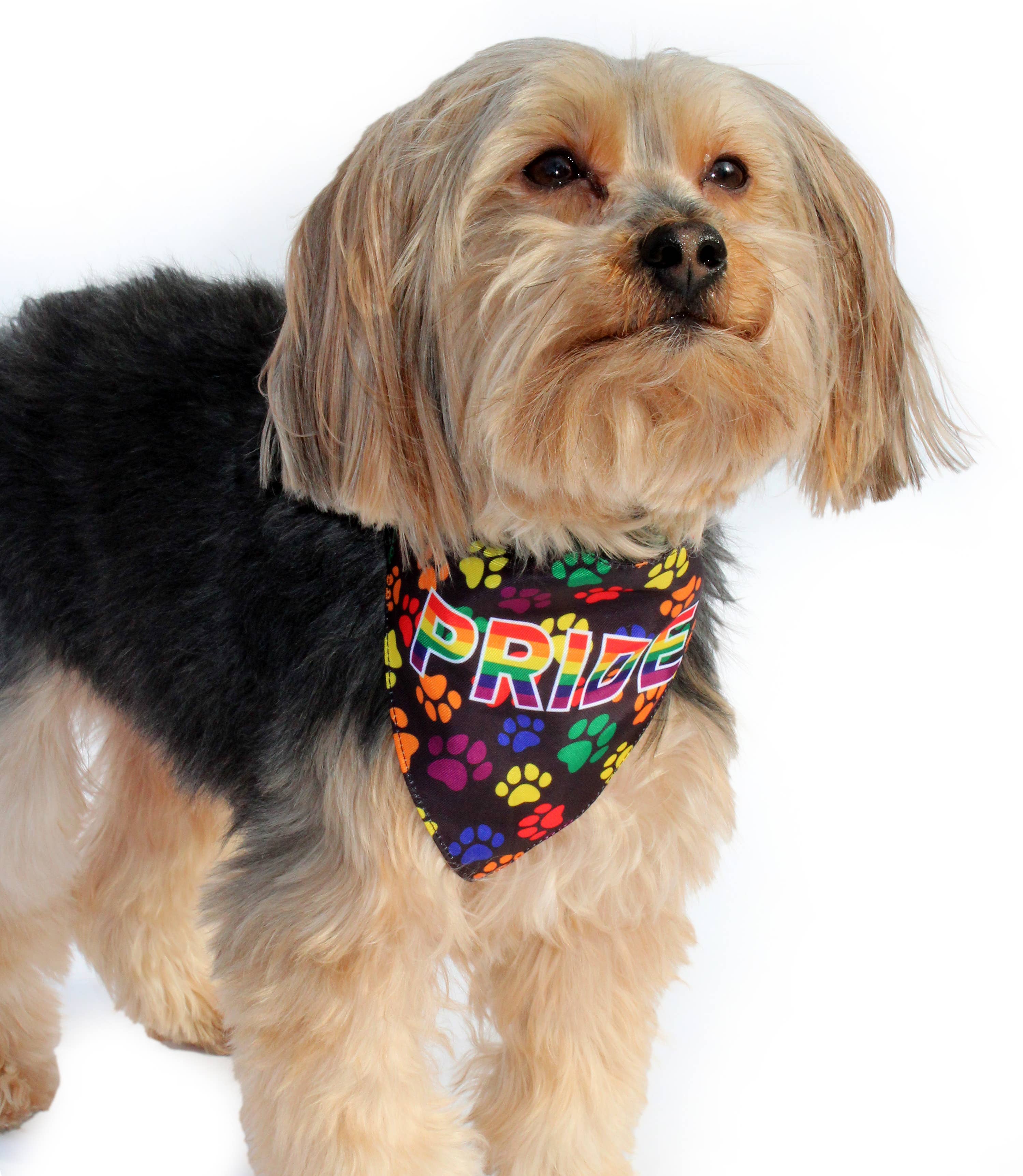Barker's Bowtique - Wholesale Pet Bandana - Dog - HIP DOGGIE PRIDE DOG BANDANA4
