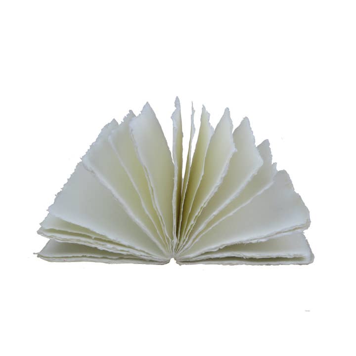 Epigram - Wholesale Journal/Diary - Grand Siecle gold parchment notebook5