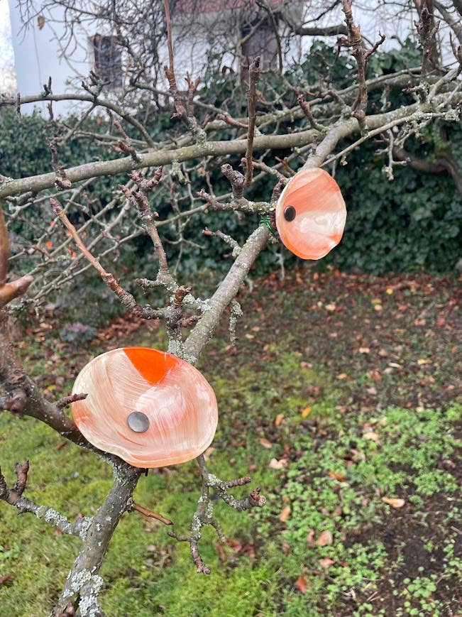 CARNEOL GLASS - Wholesale Garden Tool - Cream-Orange flower on a flexible stem6