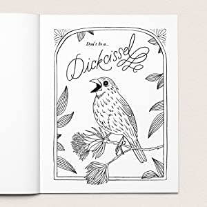 Your Very Favorite - Wholesale Coloring Book - Adult - 30 Dirty Birdies: An Adult Coloring Book