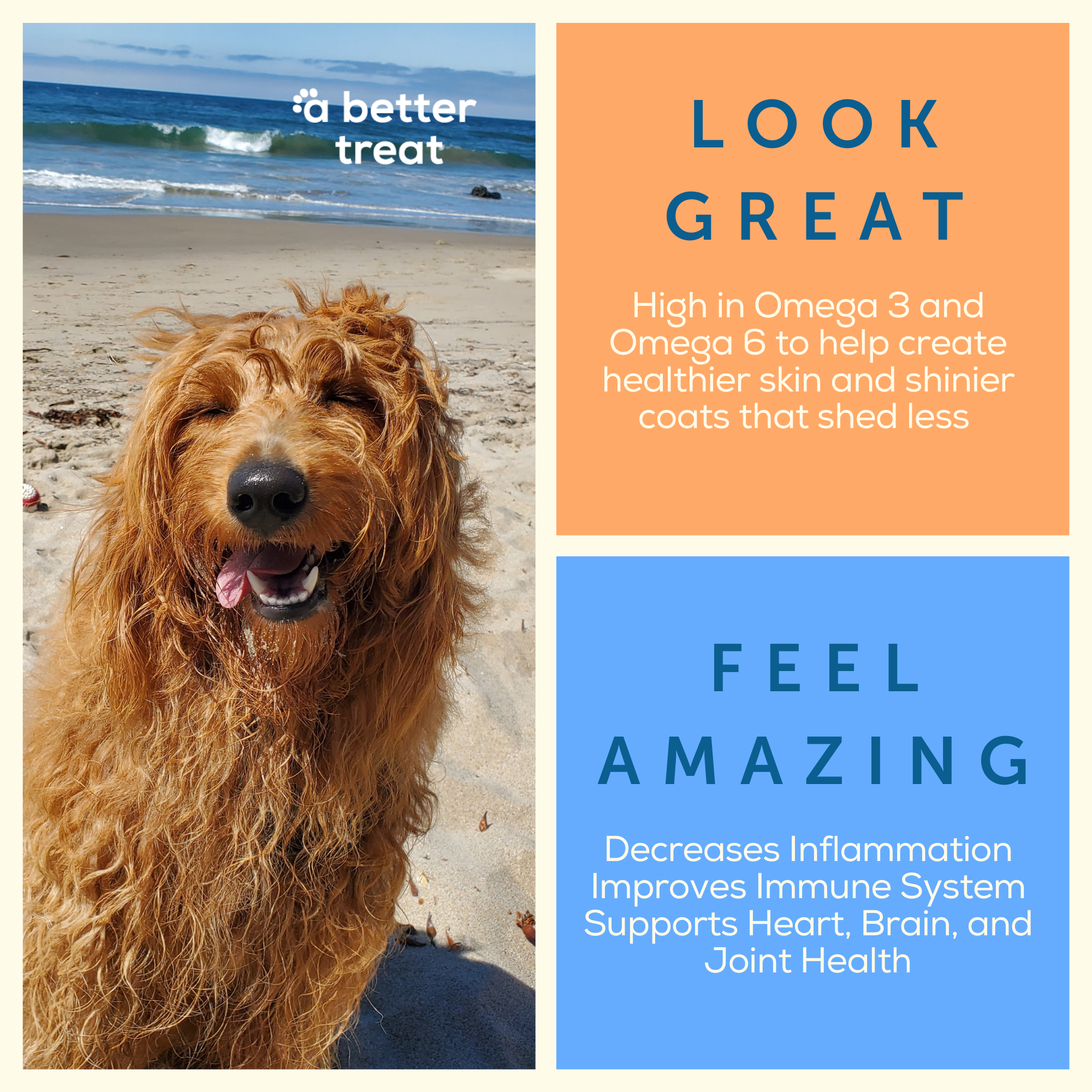 A Better Treat - Wholesale Pet Treats - Dog - Freeze Dried Wild Caught Salmon Dog and Cat Treats2