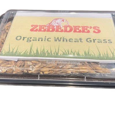 Zebedee's Pet Products – wholesale Pet food – Cat – Zebedee's Organic Cat Grass Kit0