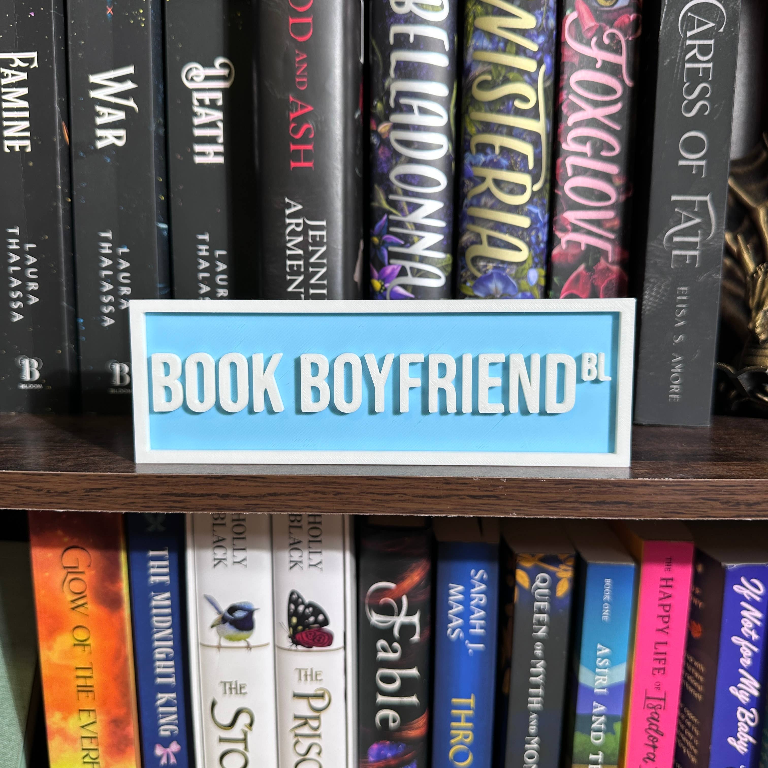 The Crafted Nook – Großhandel Schilder – Buch-Freund Straßenschild | Bücherregal Dekor7